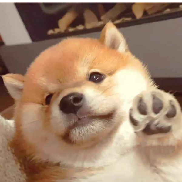 长庚