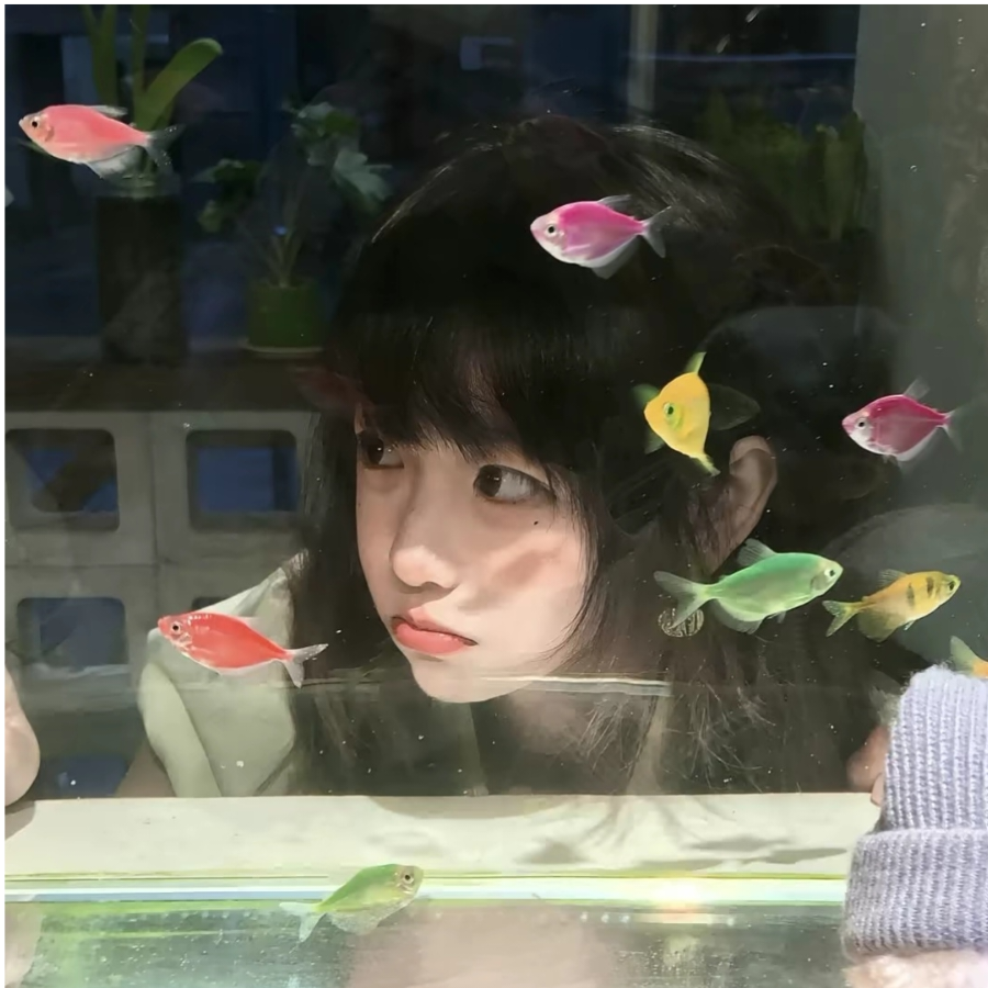 璇柚