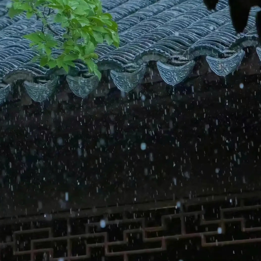 海湾的太阳雨
