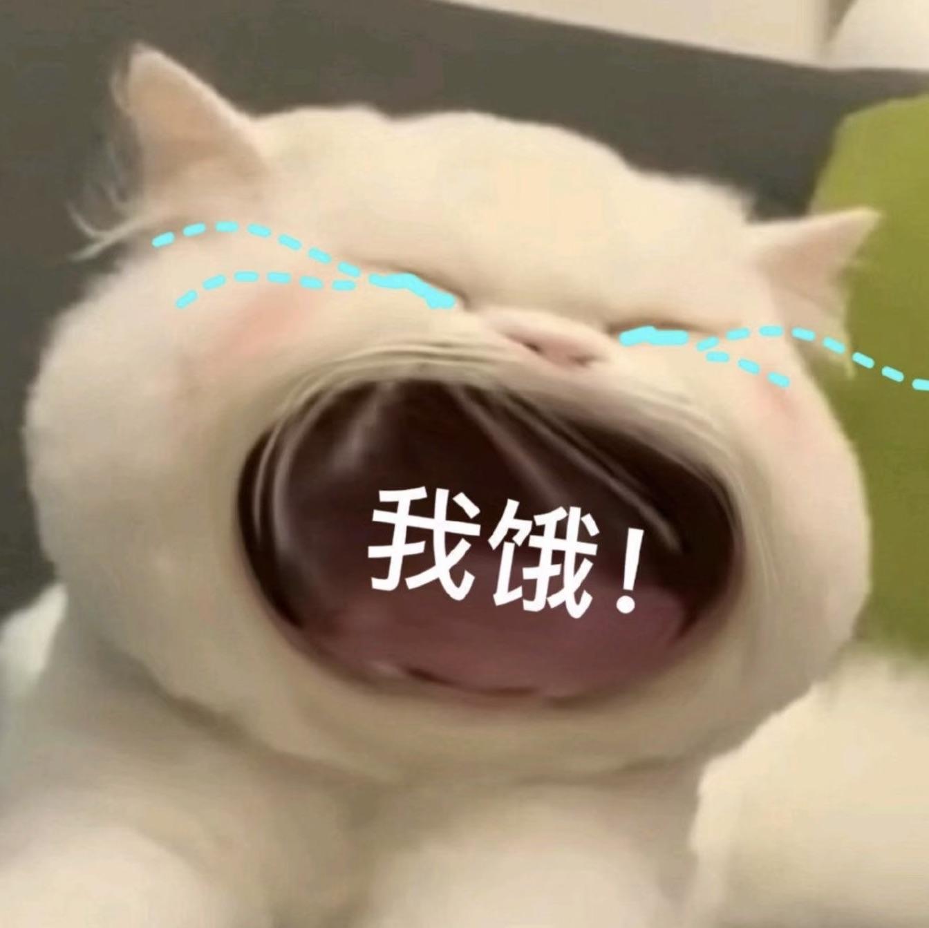＆