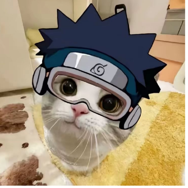 藏昼影