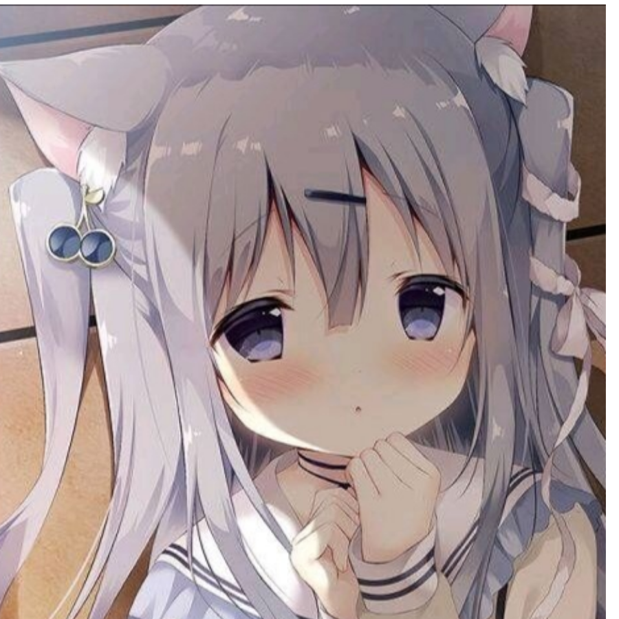 卷卷猫