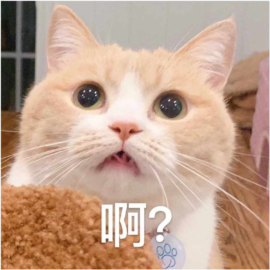 黎夜丶