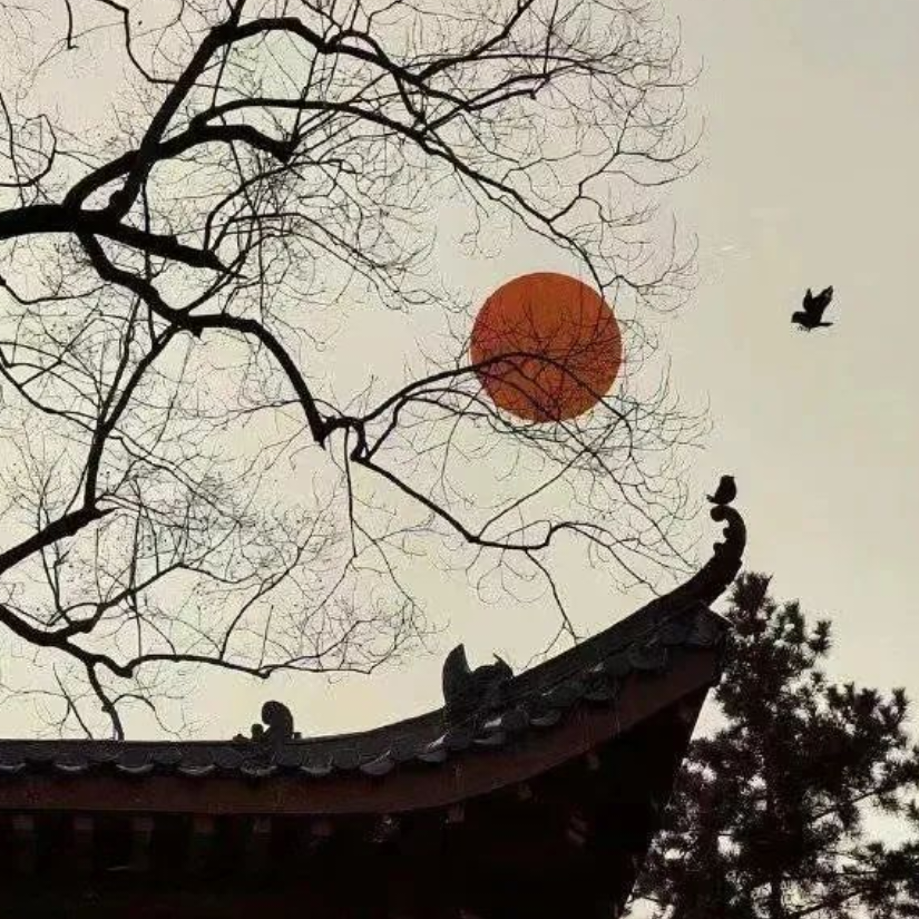 渔公