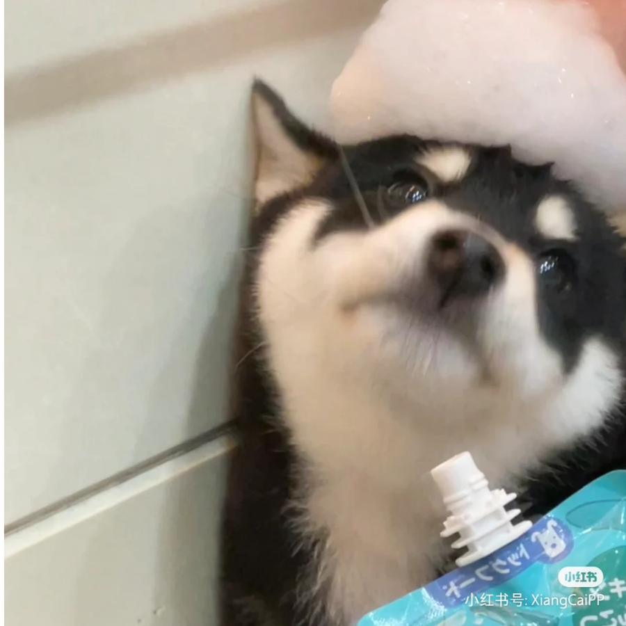 等桃人