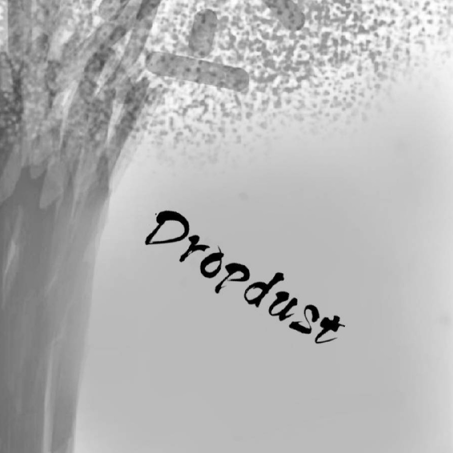 Dropdust