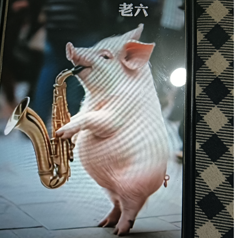 蓝色的心