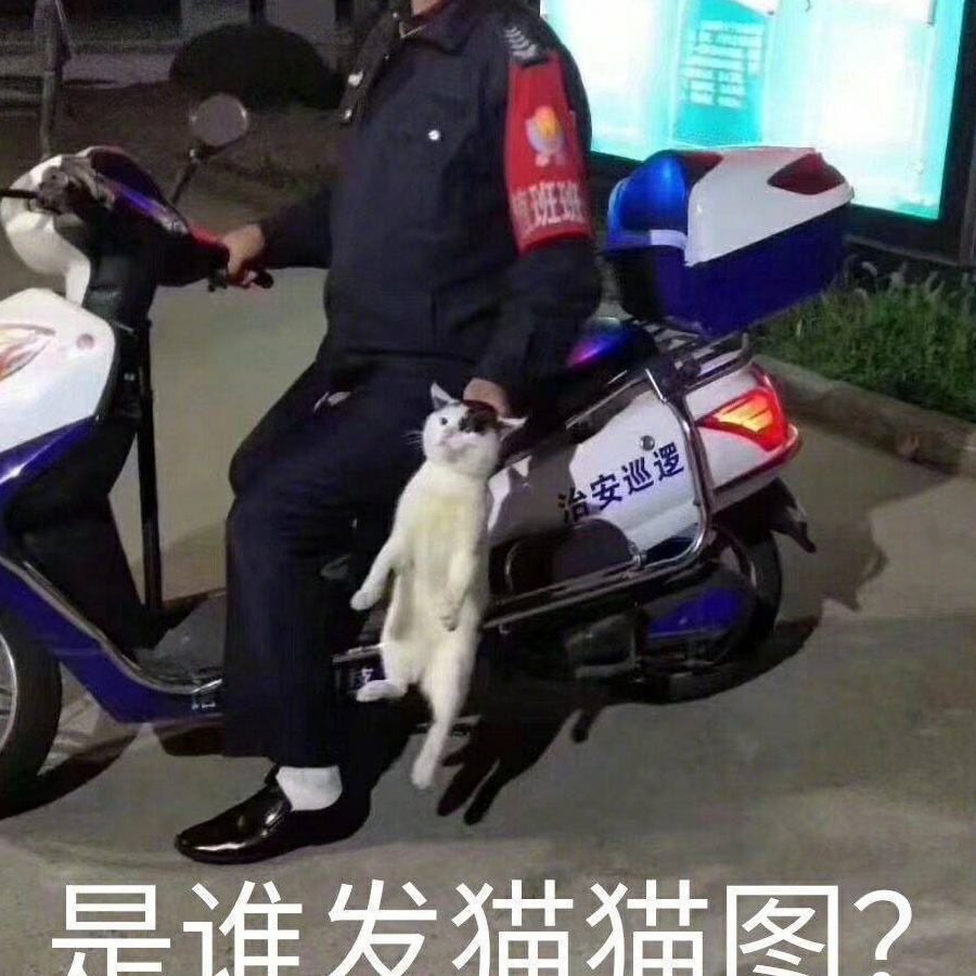 仙门萌新