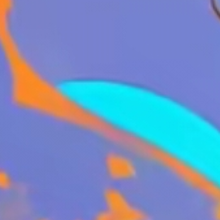 hshs