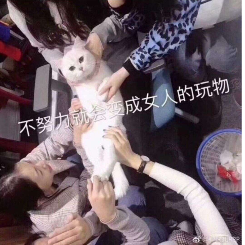 诶嘿