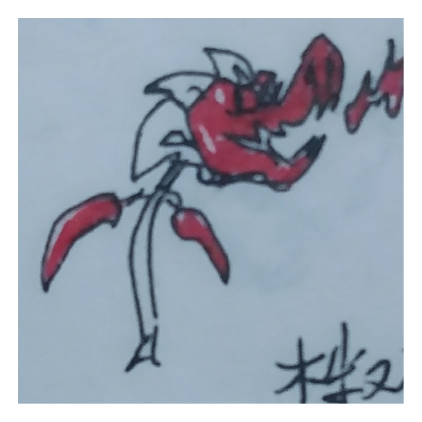 枉属