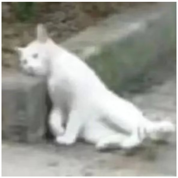 箫箫