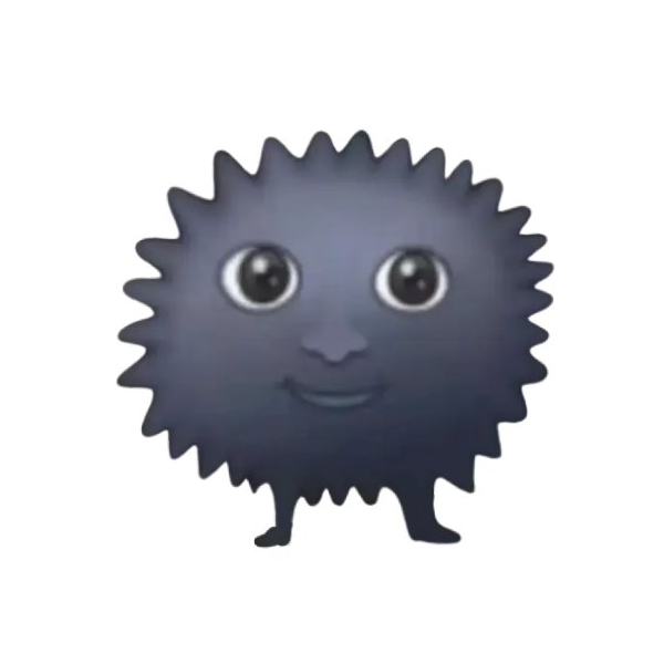 黑炭公主