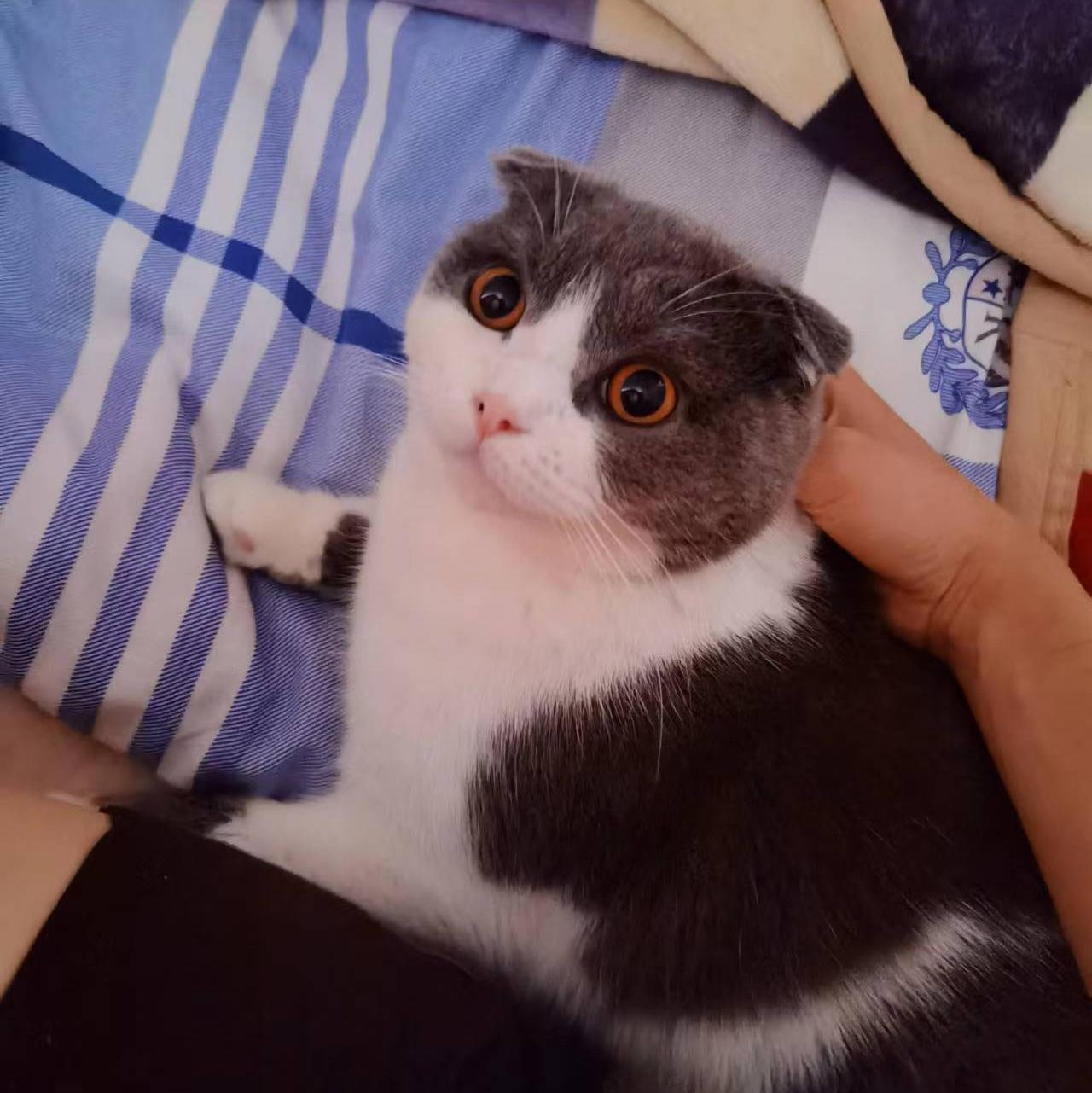 手机用户69559964