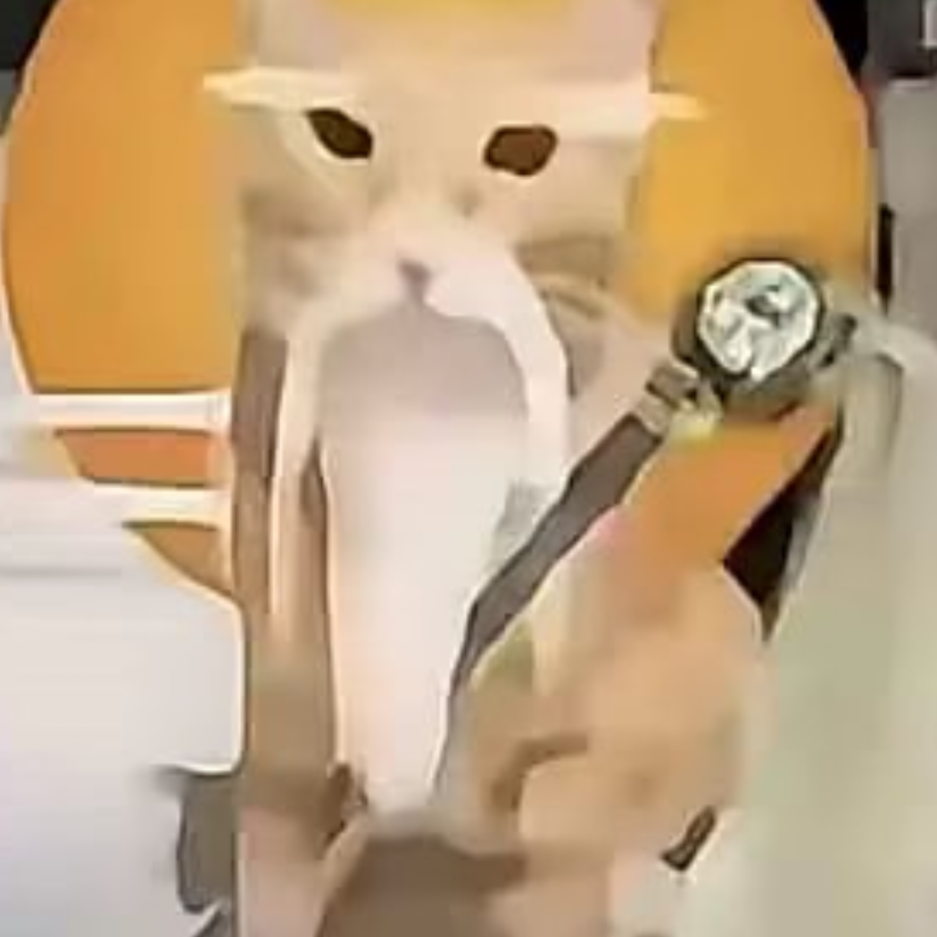 哈基仙人