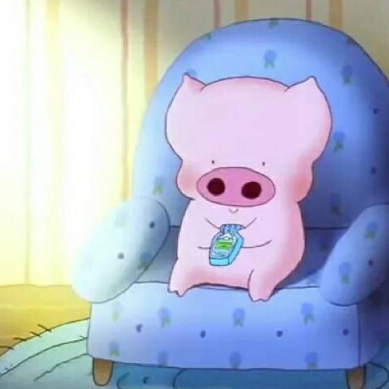 叙利亚在逃悍妇