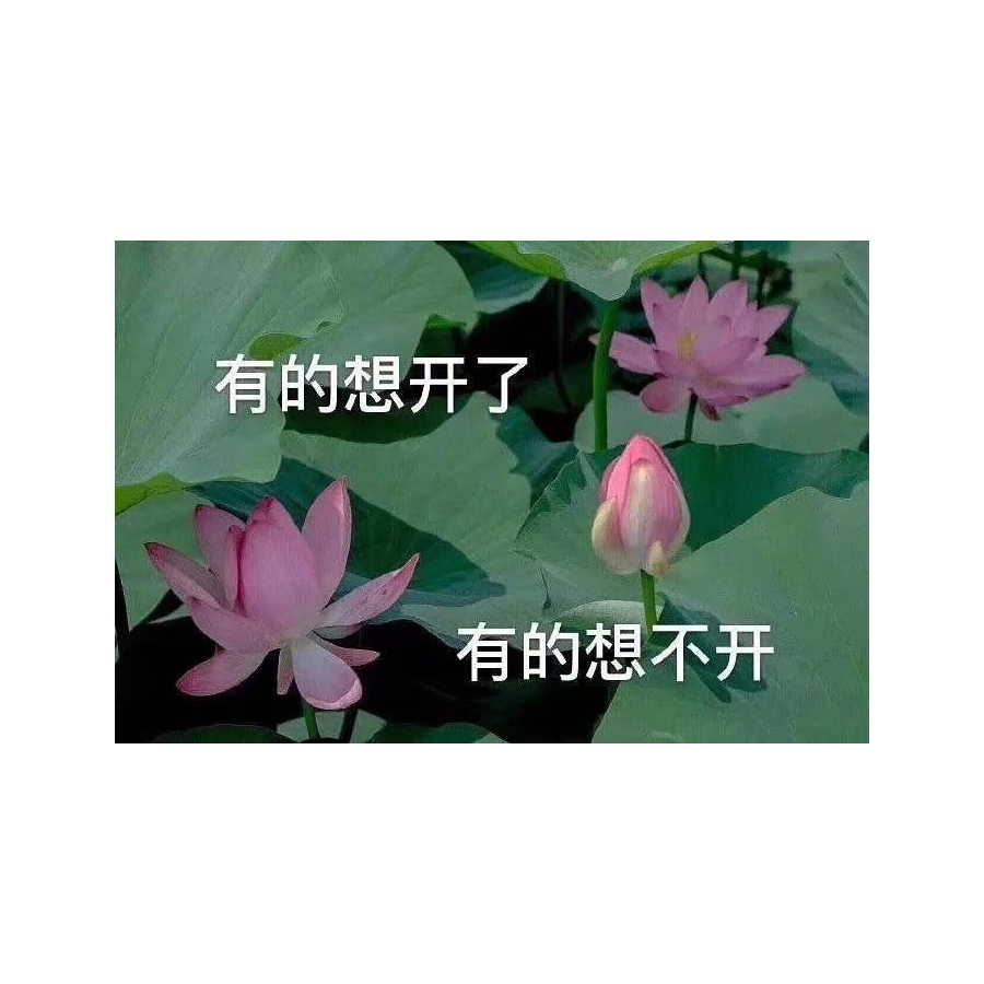 沐