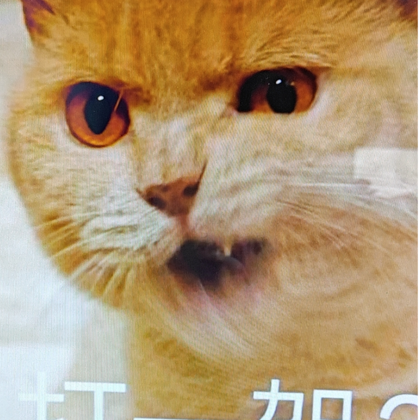 庄十七