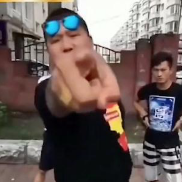 你根本不在动物园