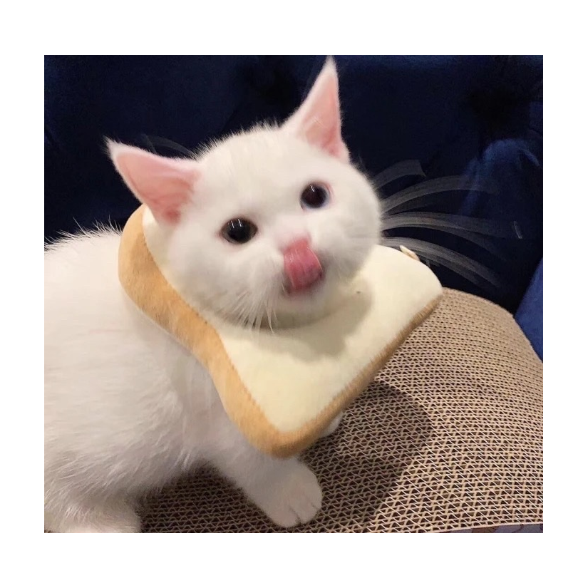 yaiya