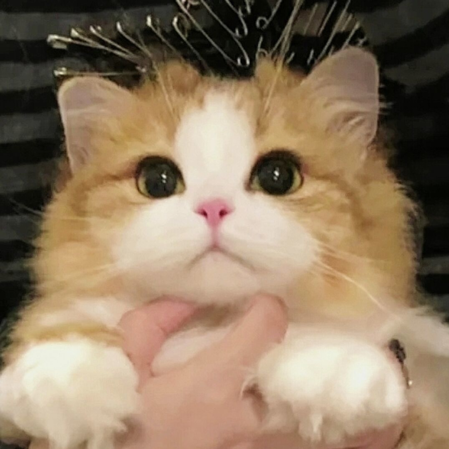 嗯