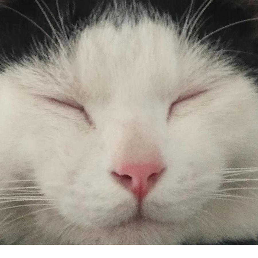 ！