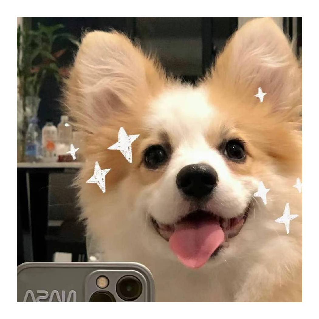 巅峰￡航航