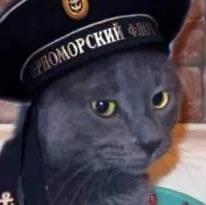 高普尼克海军上将