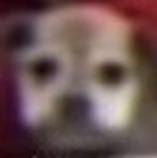 樱咏