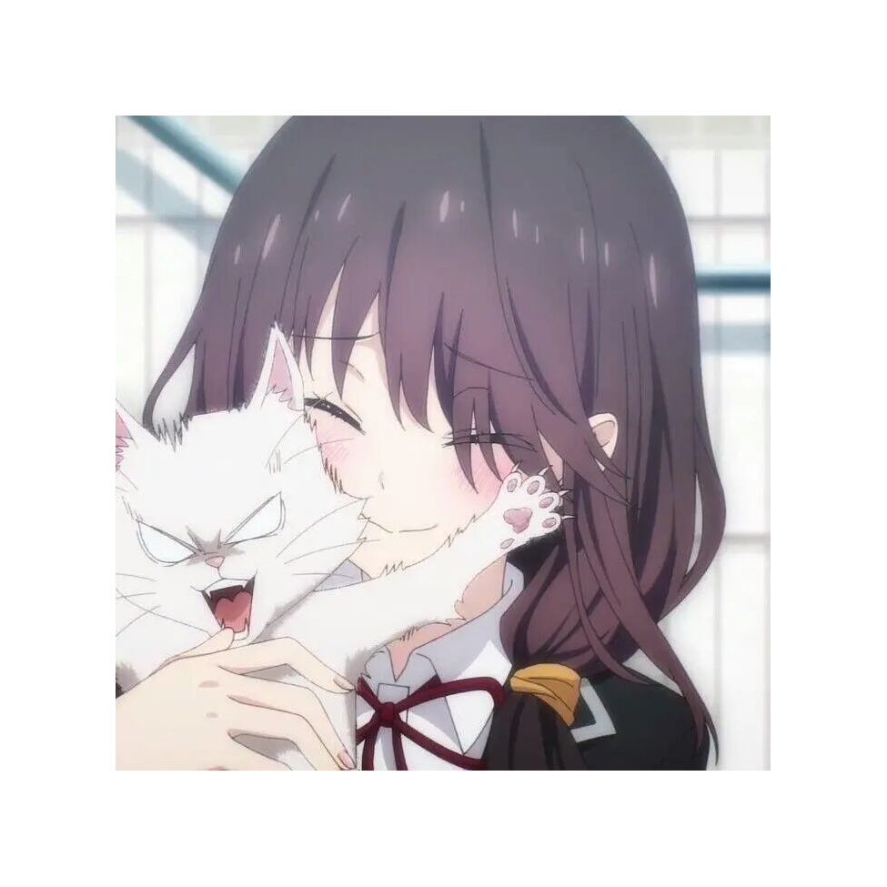 爱梦月莲
