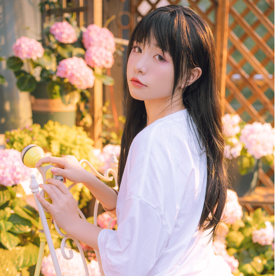 景略