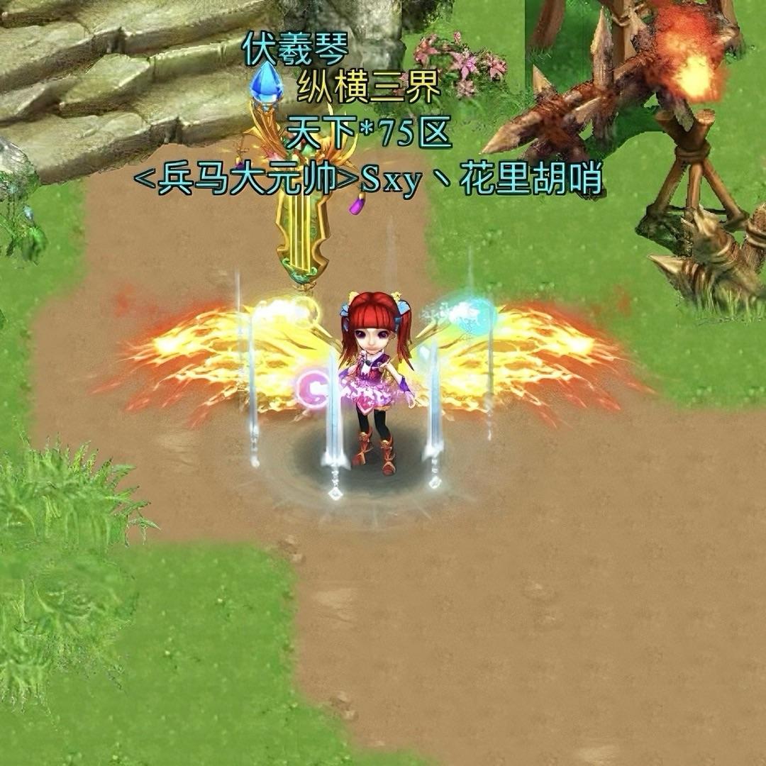 花里胡哨丶