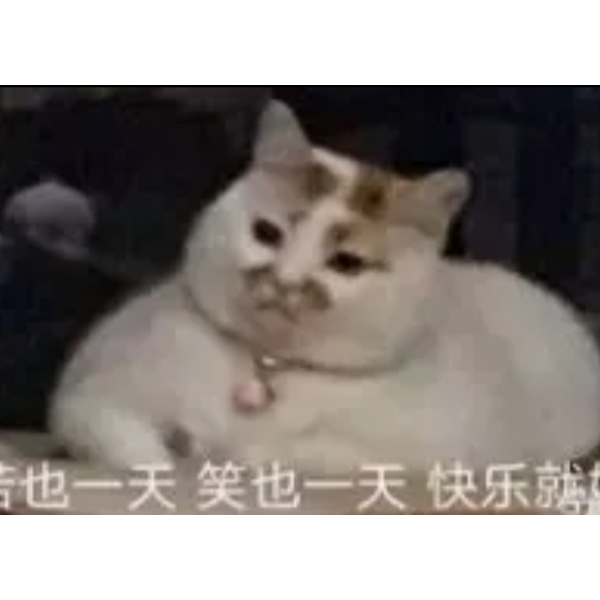 不念