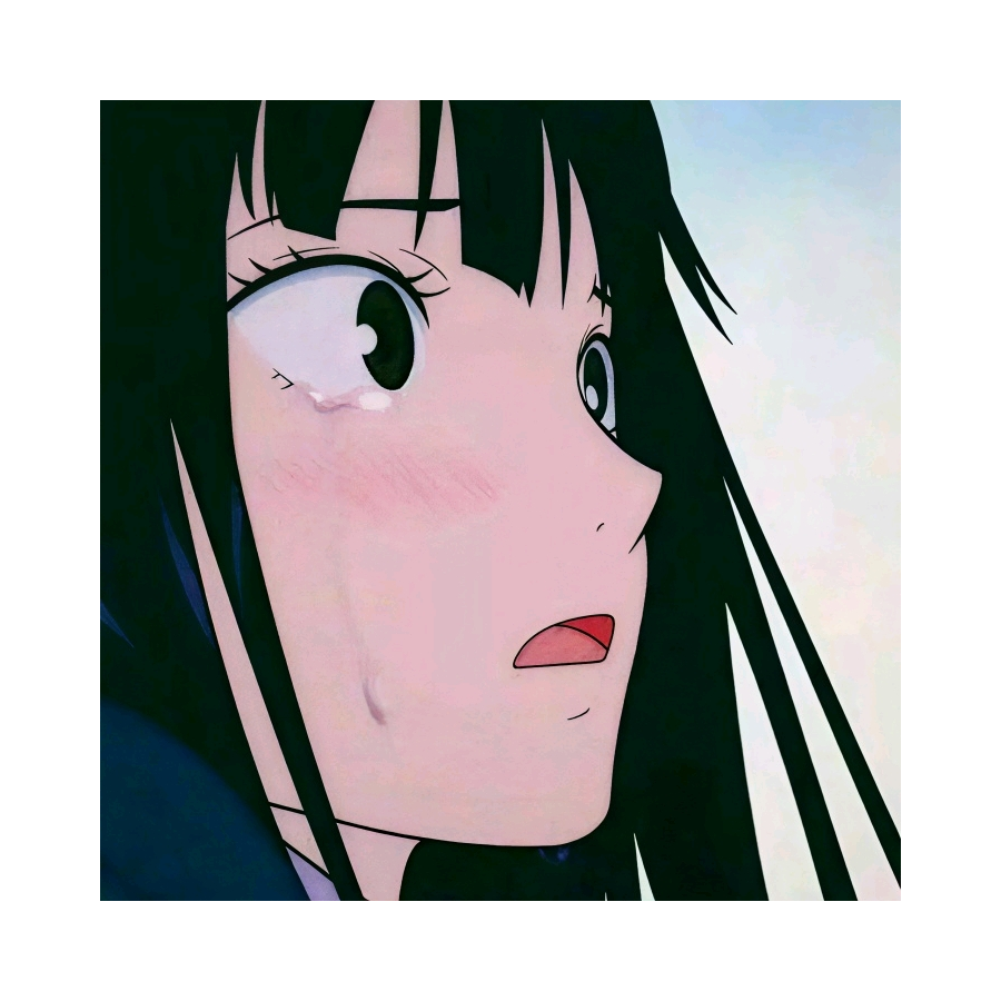 我恨骗子。
