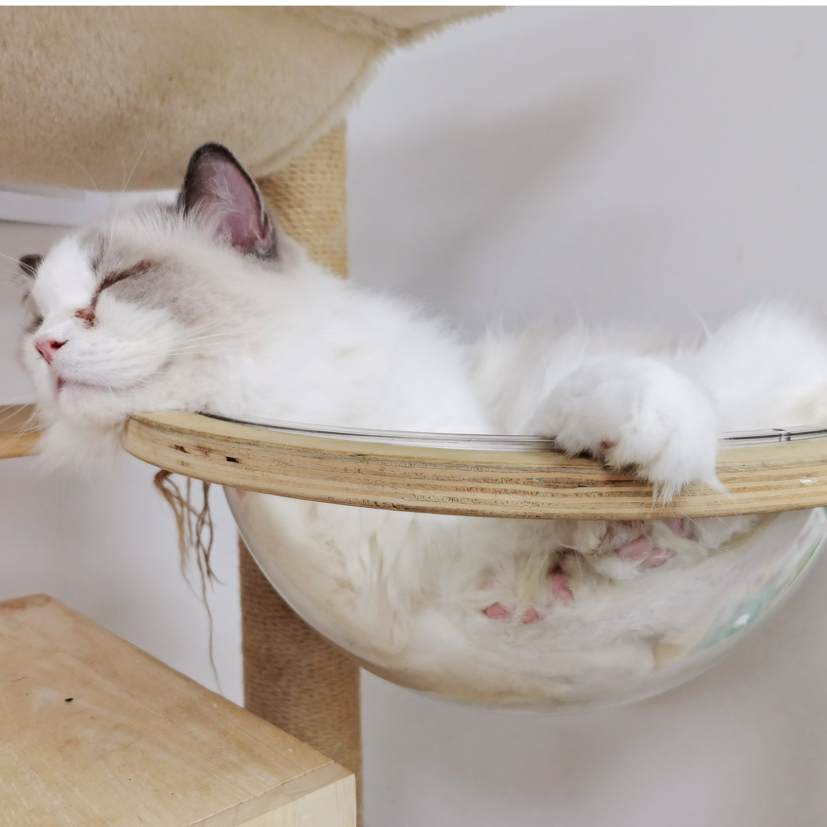 对方正在长头发