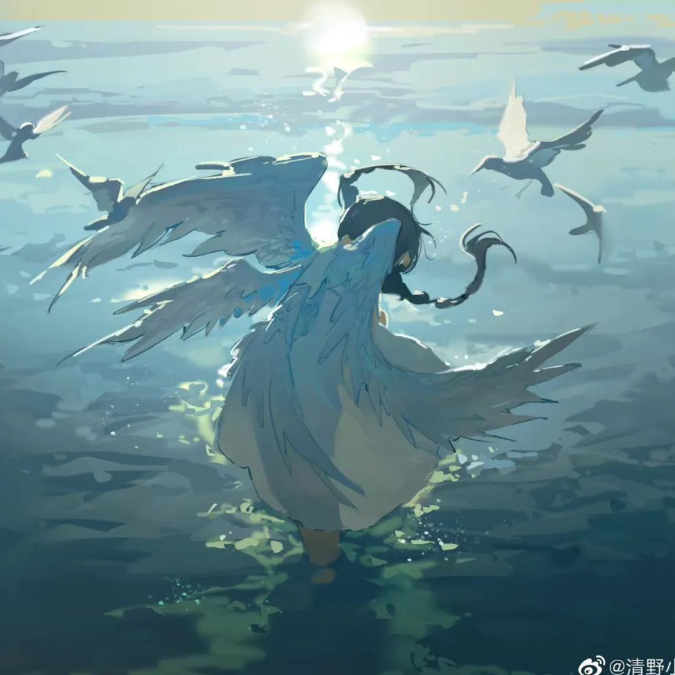 枫帆