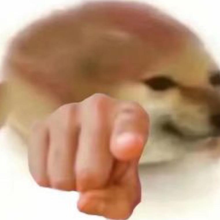 蓼蓼没烦恼