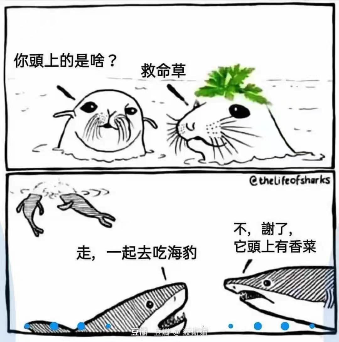 夏目的腿毛