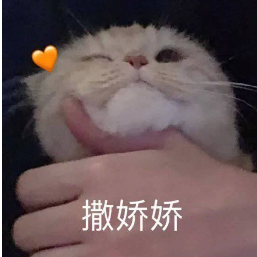 等猫来