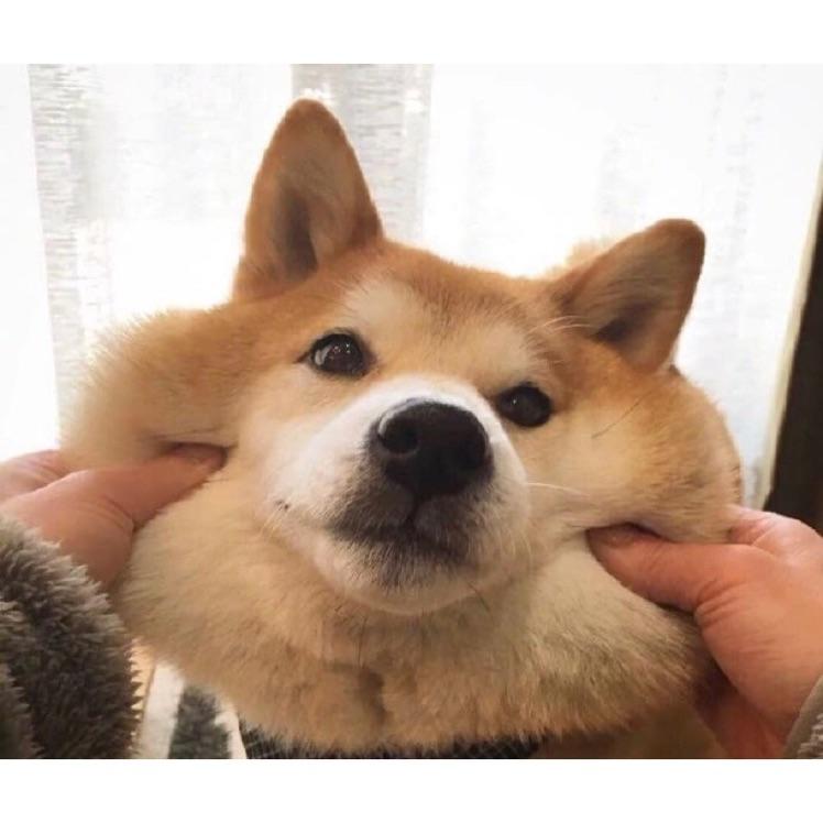 李飞蓬