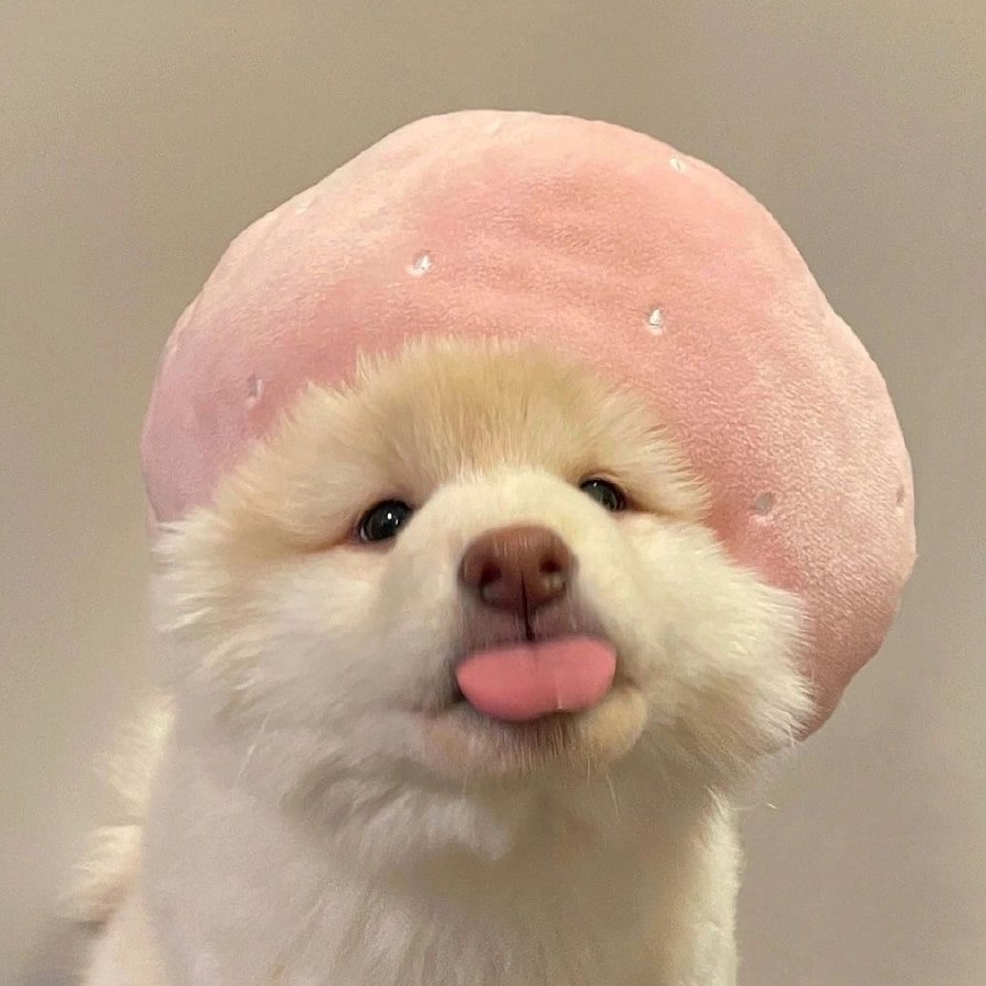 雪.