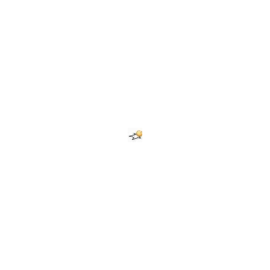 User416459245
