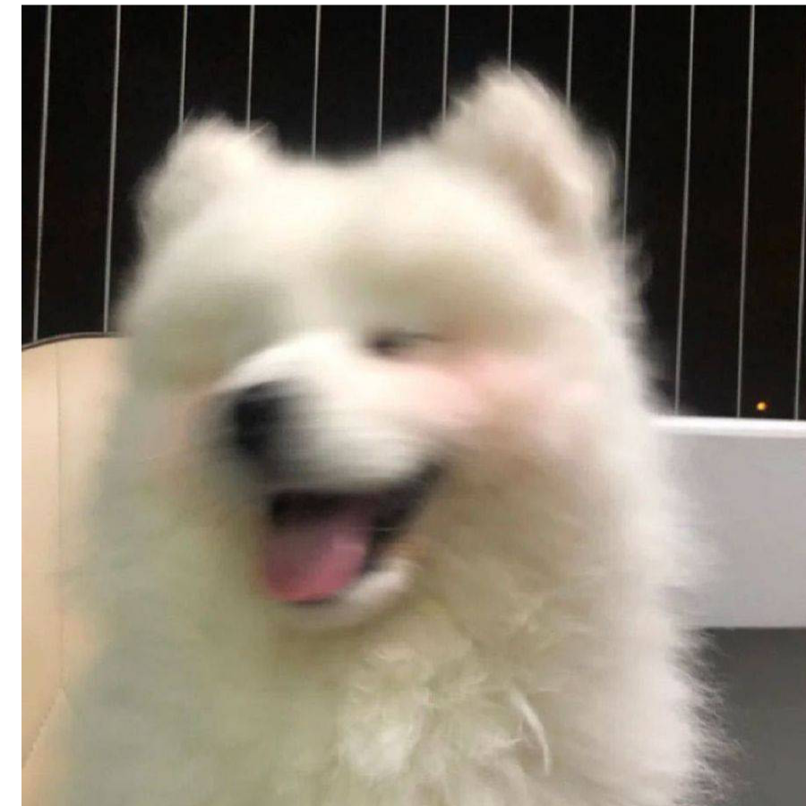 枭子哥深夜买醉