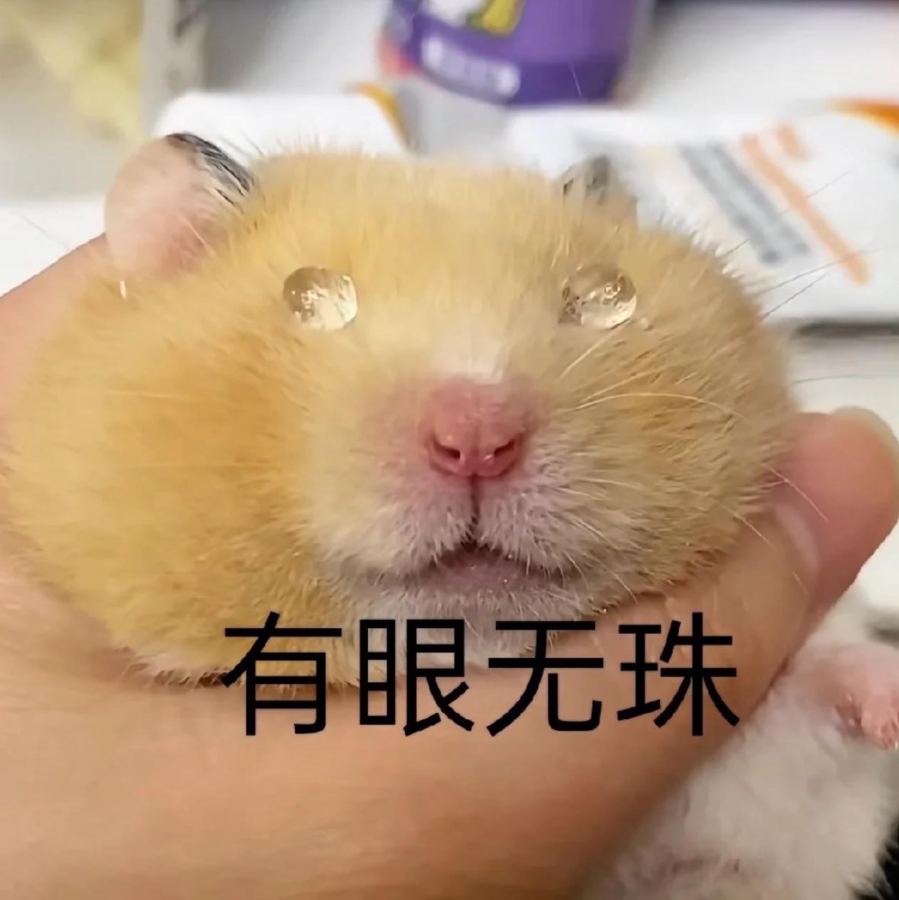 乜
