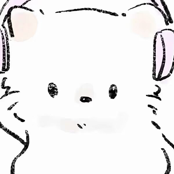 白色小猫