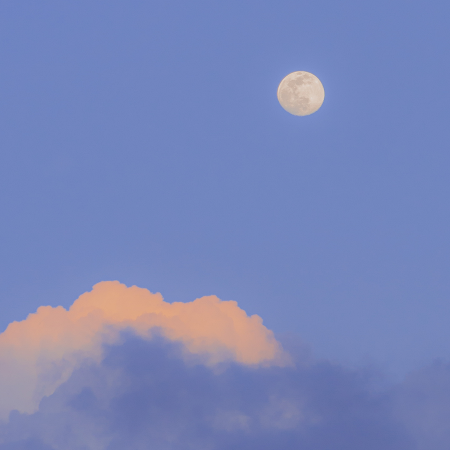 浅白月🌙