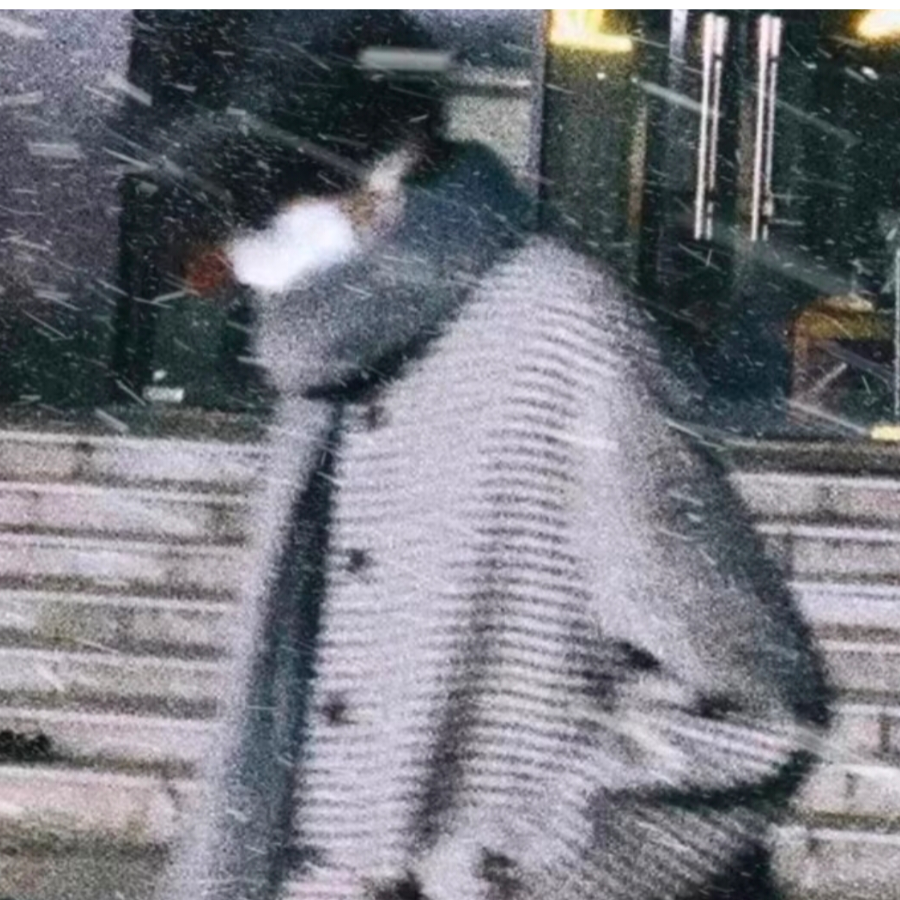 苦茶子