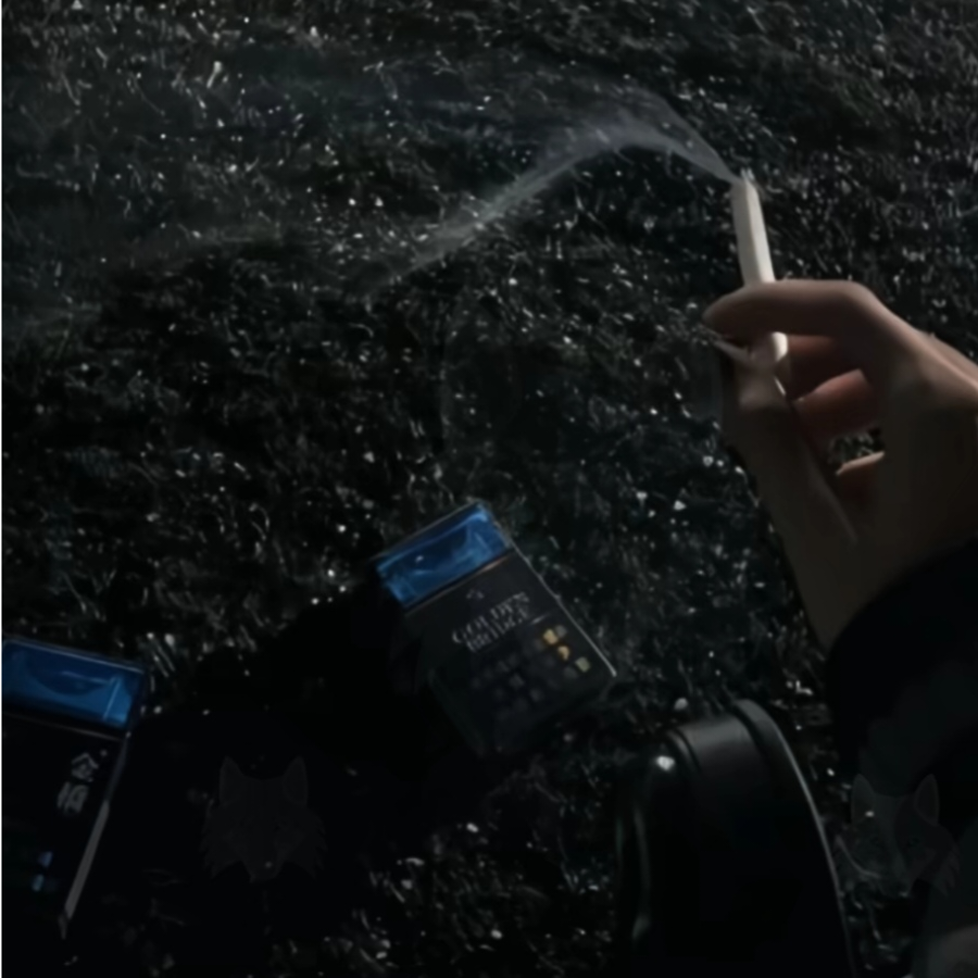 雨落倾我心
