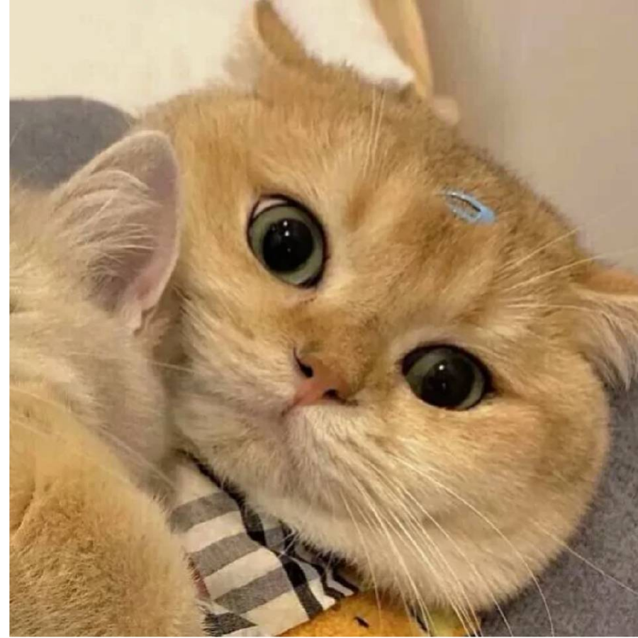十三