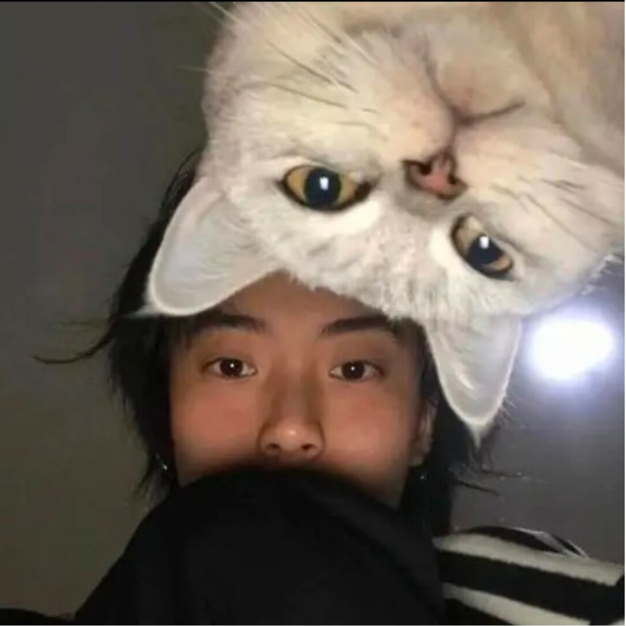 浩